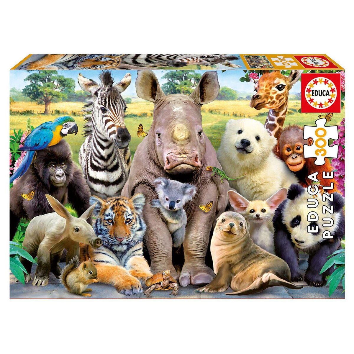 EDUCA 300 Photo de classe