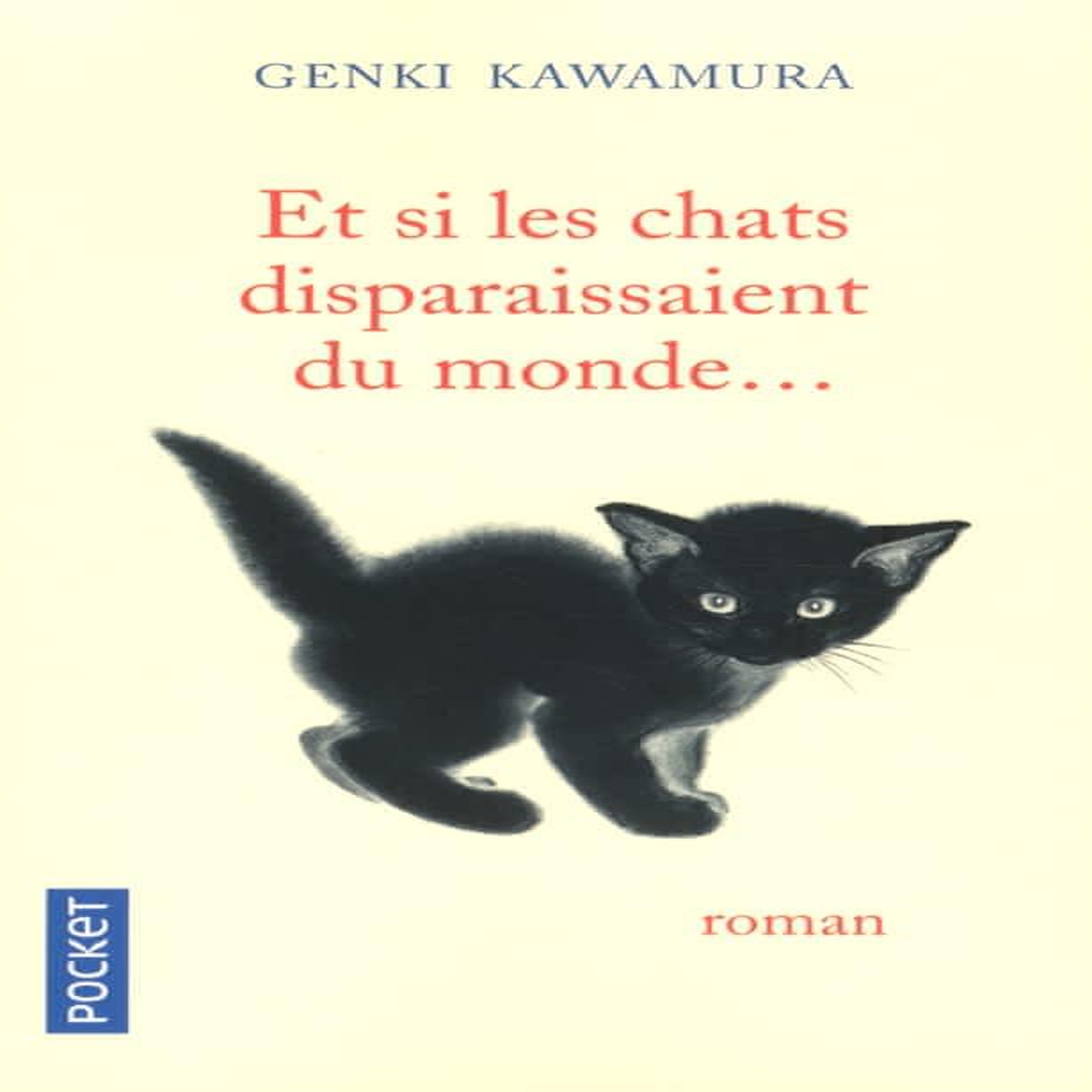 ET SI LES CHATS DISPARAISSAIENT DU MONDE..., Kawamura Genki
