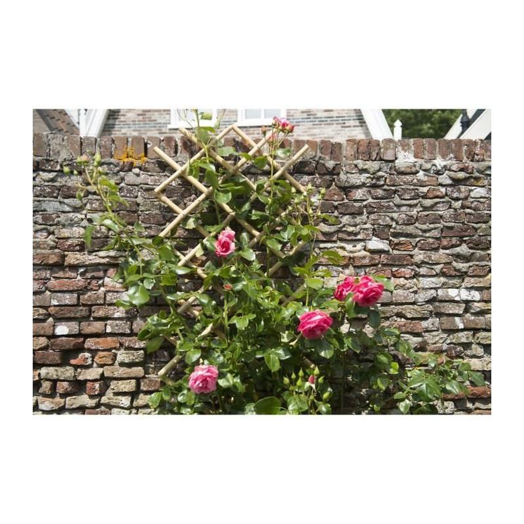 Voir la diapositive 2 : NATURE NATURE Treillis extensible en bambou 45x180cm - Marron