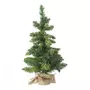 FEERIC LIGHT & CHRISTMAS Sapin de Noël artificiel Blooming - H. 70 cm - Vert