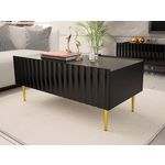 BEST MOBILIER Ambre - table basse - 2 portes - 120 cm. Coloris disponibles : Bicolore