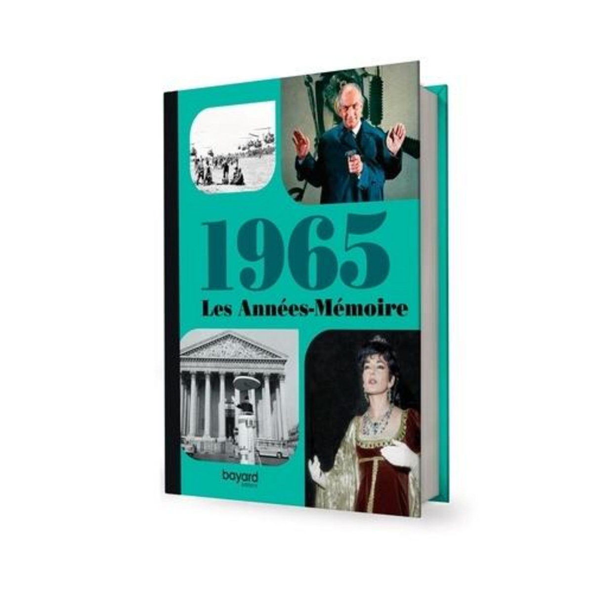 LES ANNEES-MEMOIRE 1965, Terrier Anne