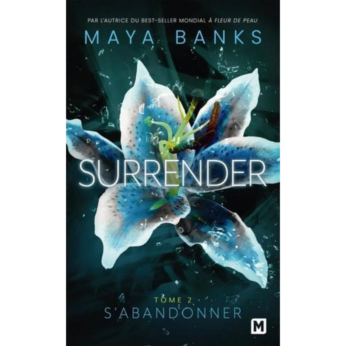 SURRENDER TOME 2 : S'ABANDONNER, Banks Maya