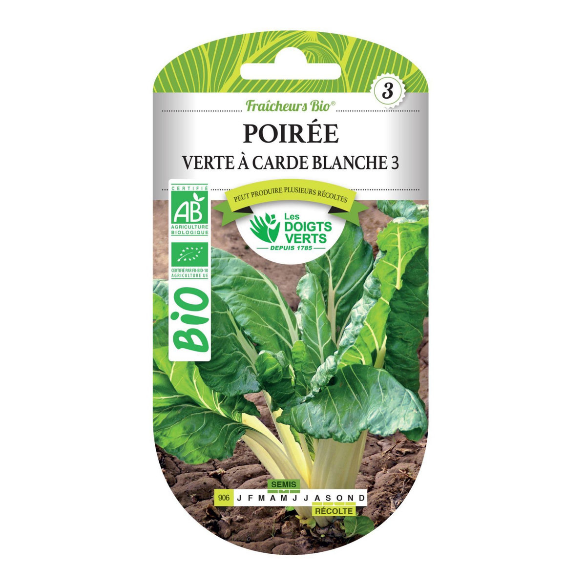 LES DOIGTS VERTS Graines poirée verte à carde blanche BIO Les Doigts Verts