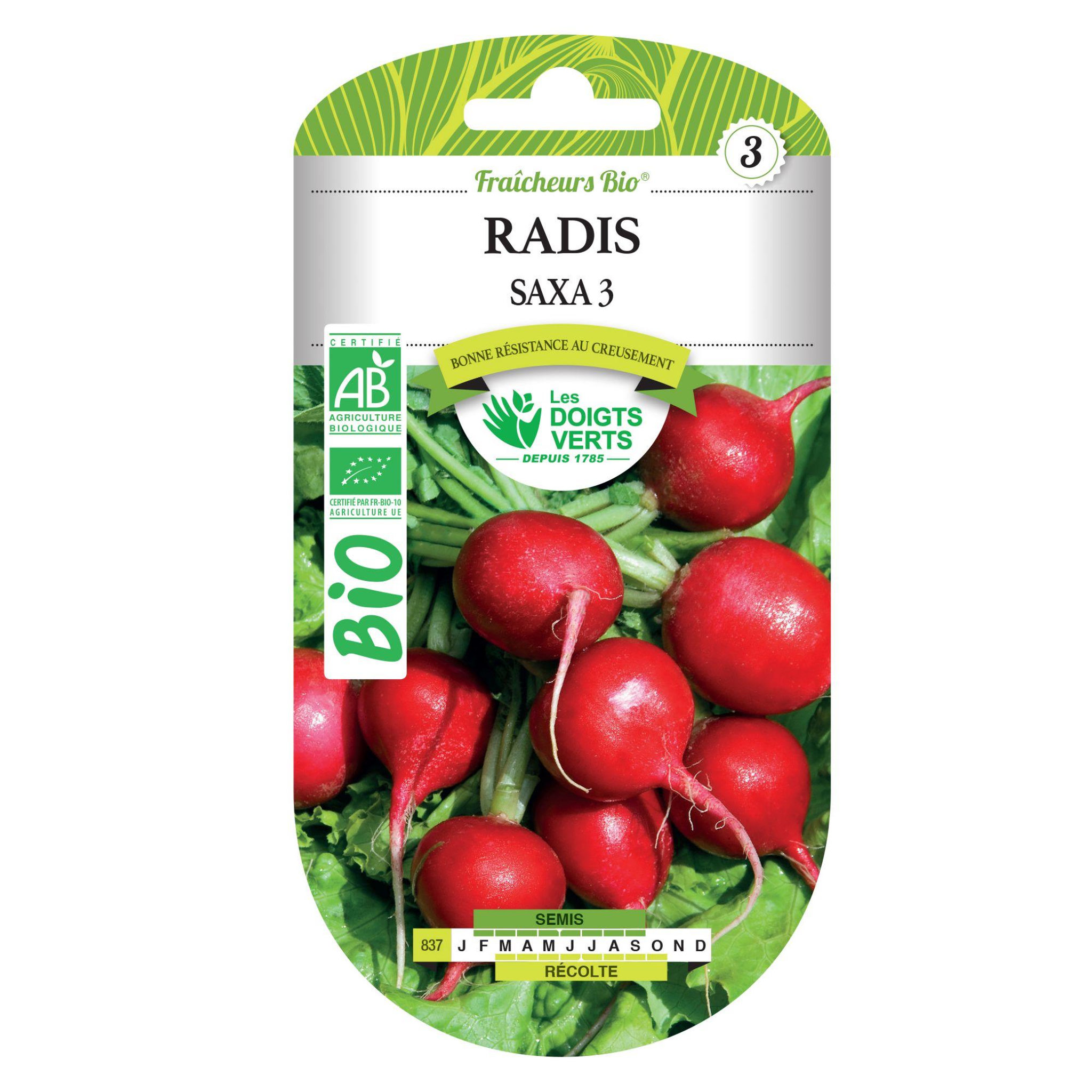 LES DOIGTS VERTS Graines de radis saxa 3 BIO Les Doigts Verts