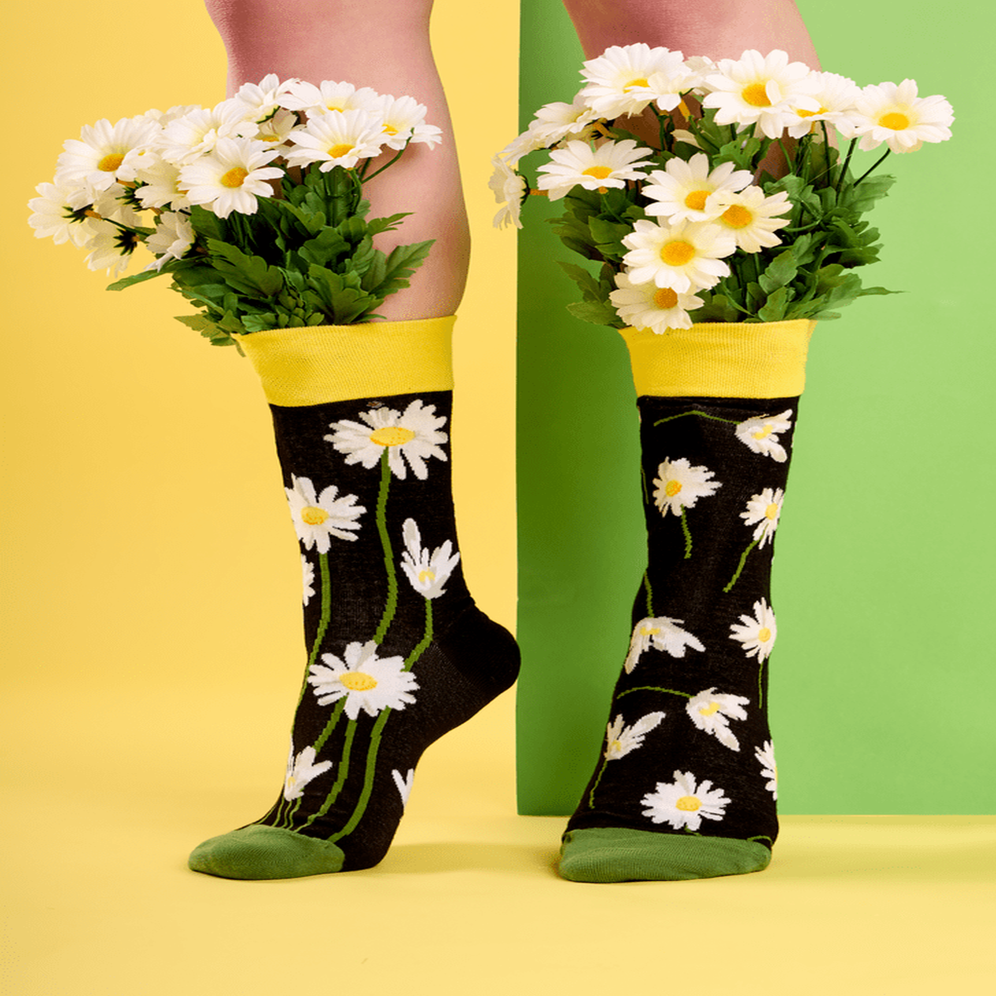 Voir la diapositive 4 : DEDOLES Chaussettes marguerites dans la nuit