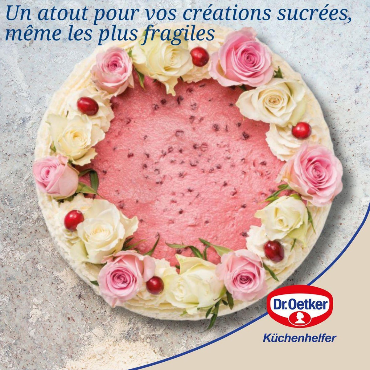 DR.OETKER Moule à manqué à charnière 26 cm Dr. Oetker Back-Trend