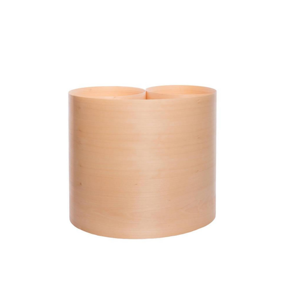 CENTRALE BRICO Placage à coller HETRE PLACNOR 0.50 M X 2.50 ML FR