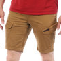 Voir la diapositive 1 : AMERICAN PEOPLE Short Marron Homme American People Legend