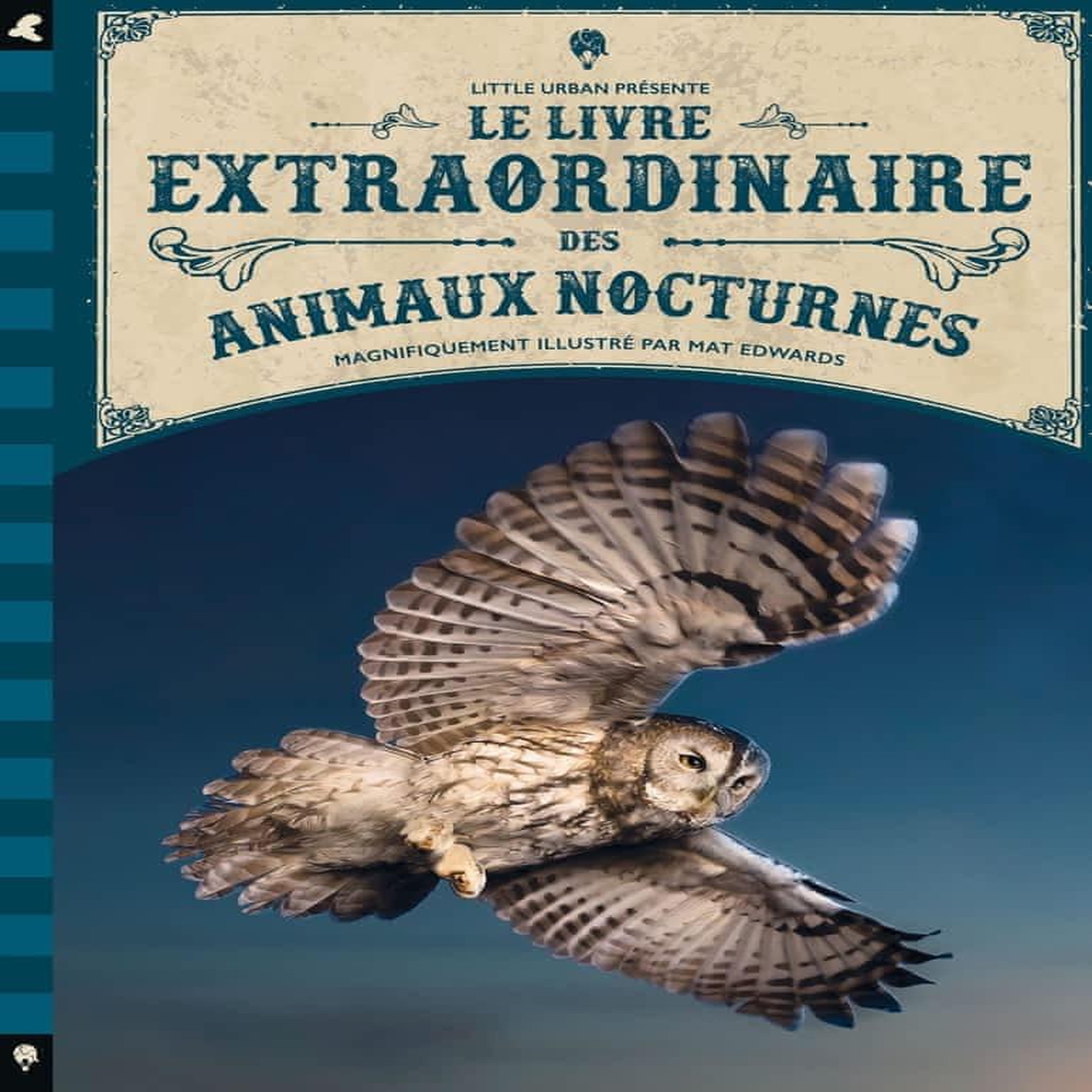 LE LIVRE EXTRAORDINAIRE DES ANIMAUX NOCTURNES, La Bédoyère Camilla de