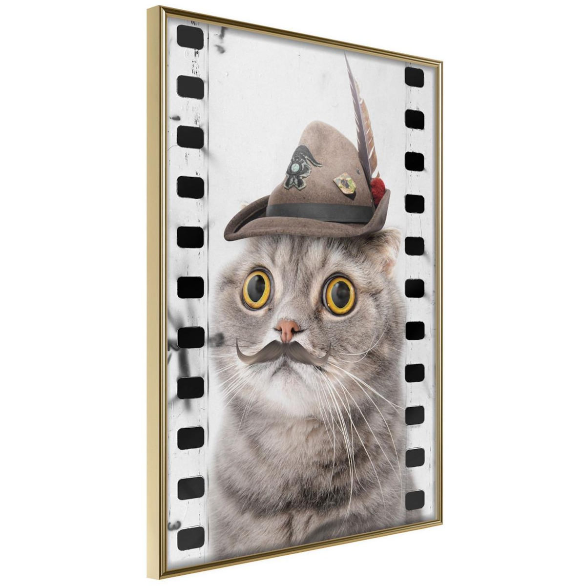 Paris Prix Affiche Murale Encadrée  Dressed Up Cat