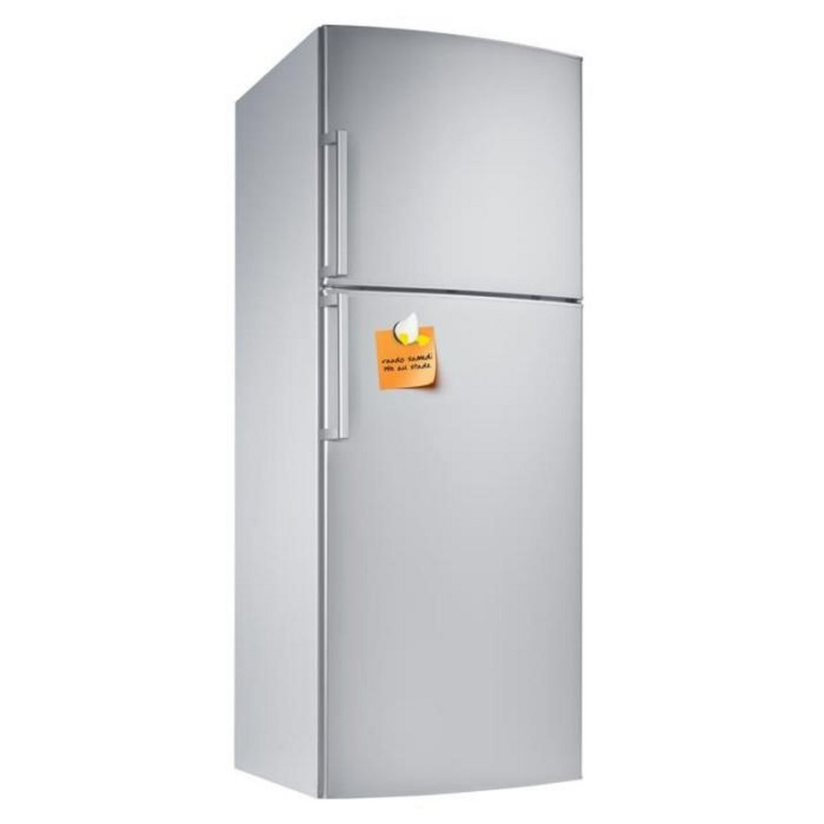 Paris Prix Lot de 3 Magnets  Derrière d'Animaux  5cm Multicolore