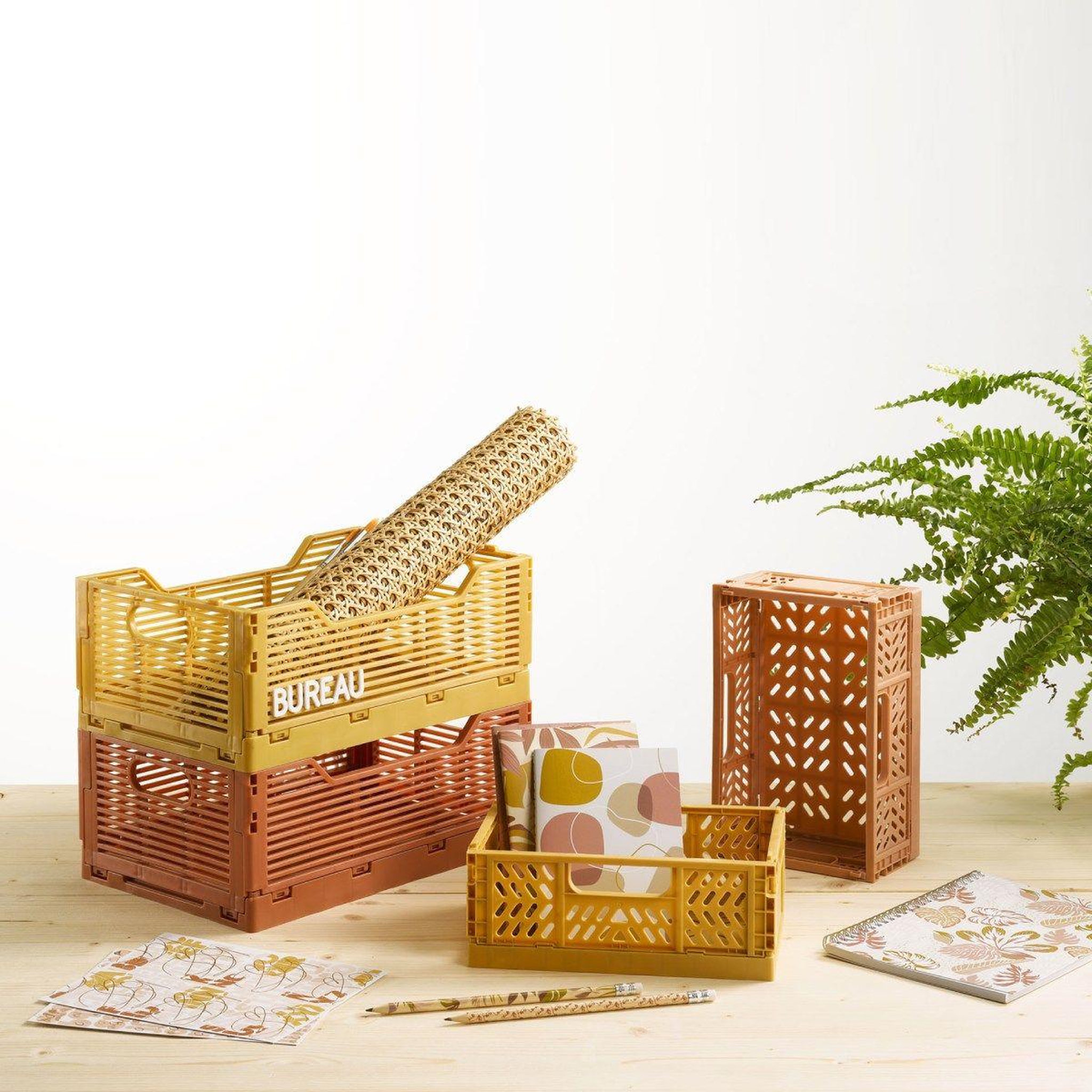 Voir la diapositive 4 : HOMEA Cagette pliable & empilable  emilie  30cm rose