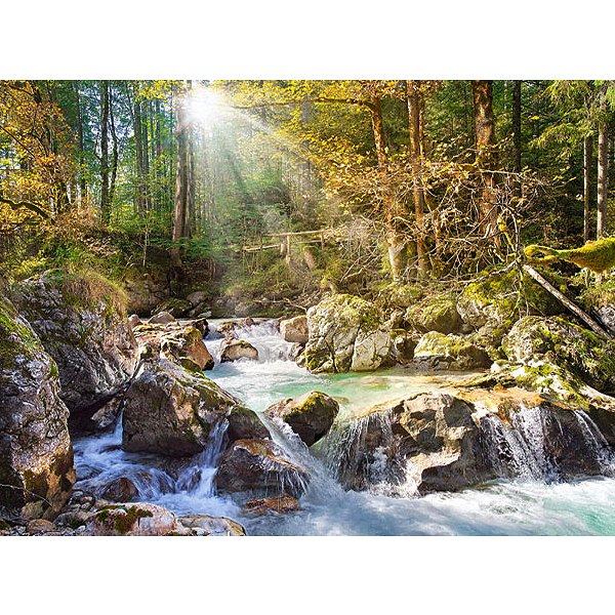 Castorland Puzzle 2000 pièces - Le ruisseau de la forêt