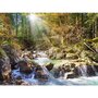 Voir la diapositive 1 : Castorland Puzzle 2000 pièces - Le ruisseau de la forêt