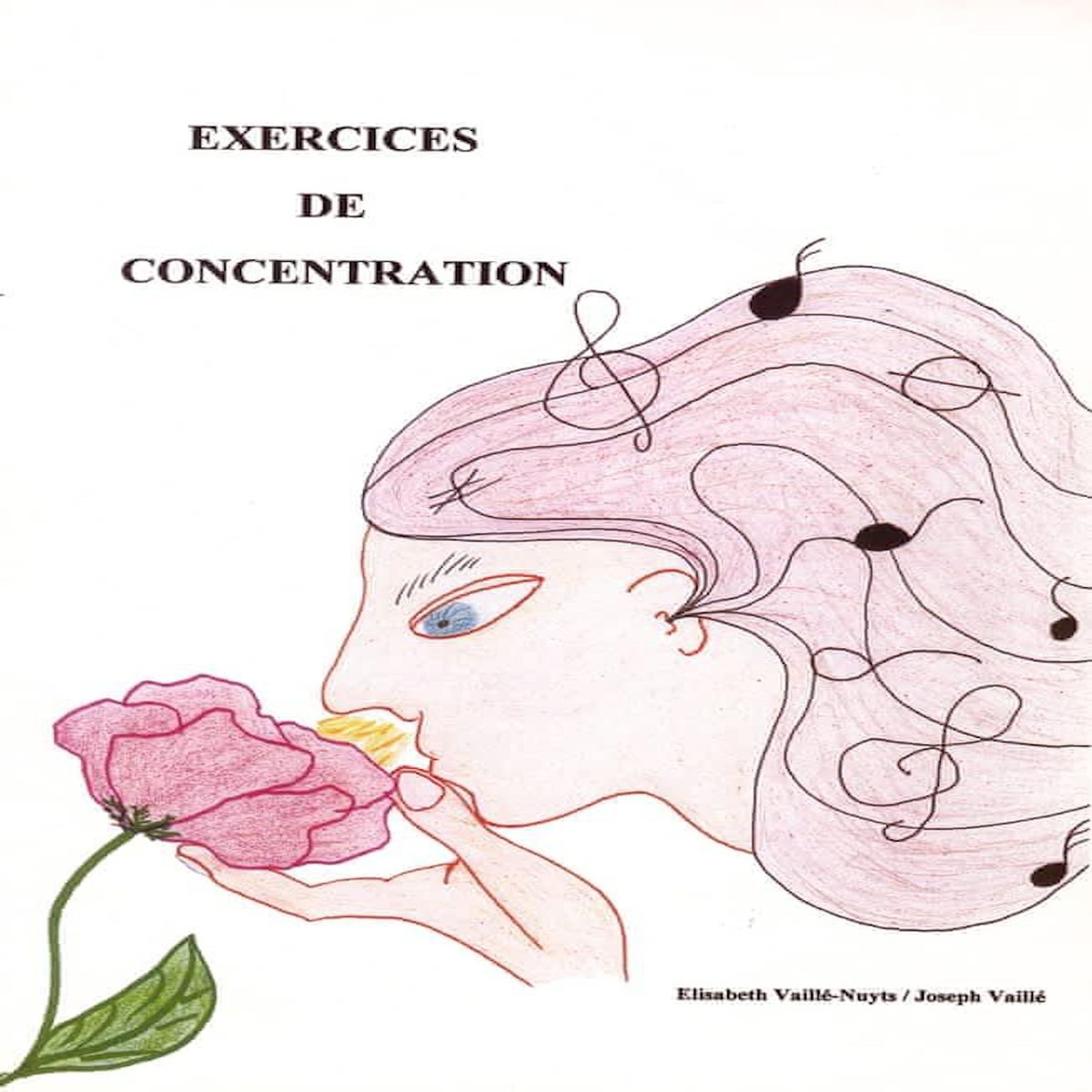 DOSSIER EXERCICES DE CONCENTRATION. CONTIENT LE FICHIER D'EXERCICES, DES FICHES DE JEUX ET DES POCHETTES, Vaillé-Nuyts Elisabeth