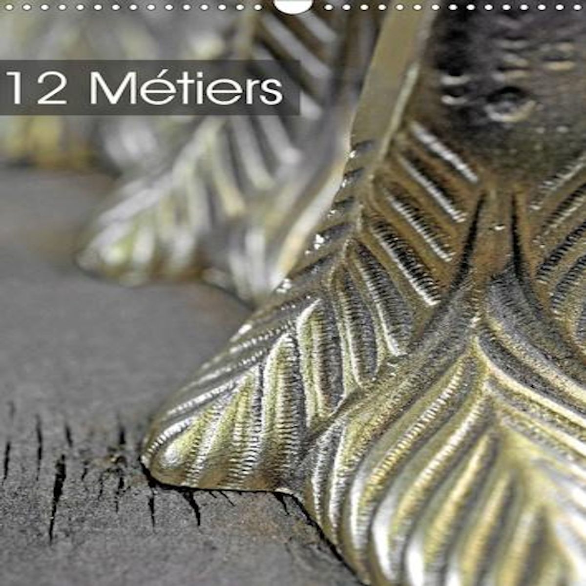 12 METIERS (CALENDRIER MURAL 2021 DIN A3 VERTICAL), Thébault Patrice