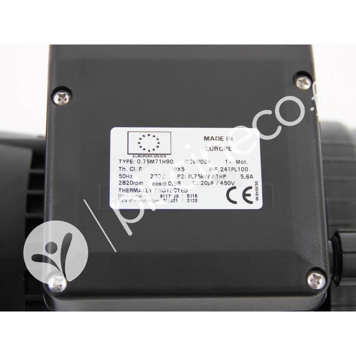 Pentair Moteur pour pompes Ultraflow, Whisperflow, La Sta-Rite et Superflo 1 CV Mono - Pentair