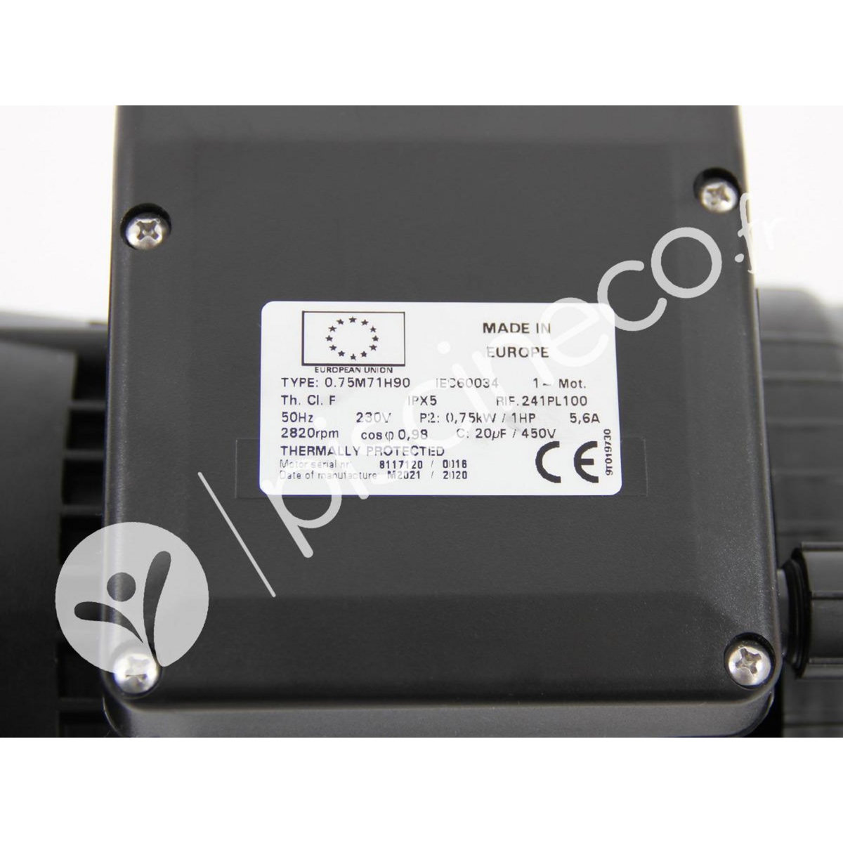 Pentair Moteur pour pompes Ultraflow, Whisperflow, La Sta-Rite et Superflo 1 CV Mono - Pentair