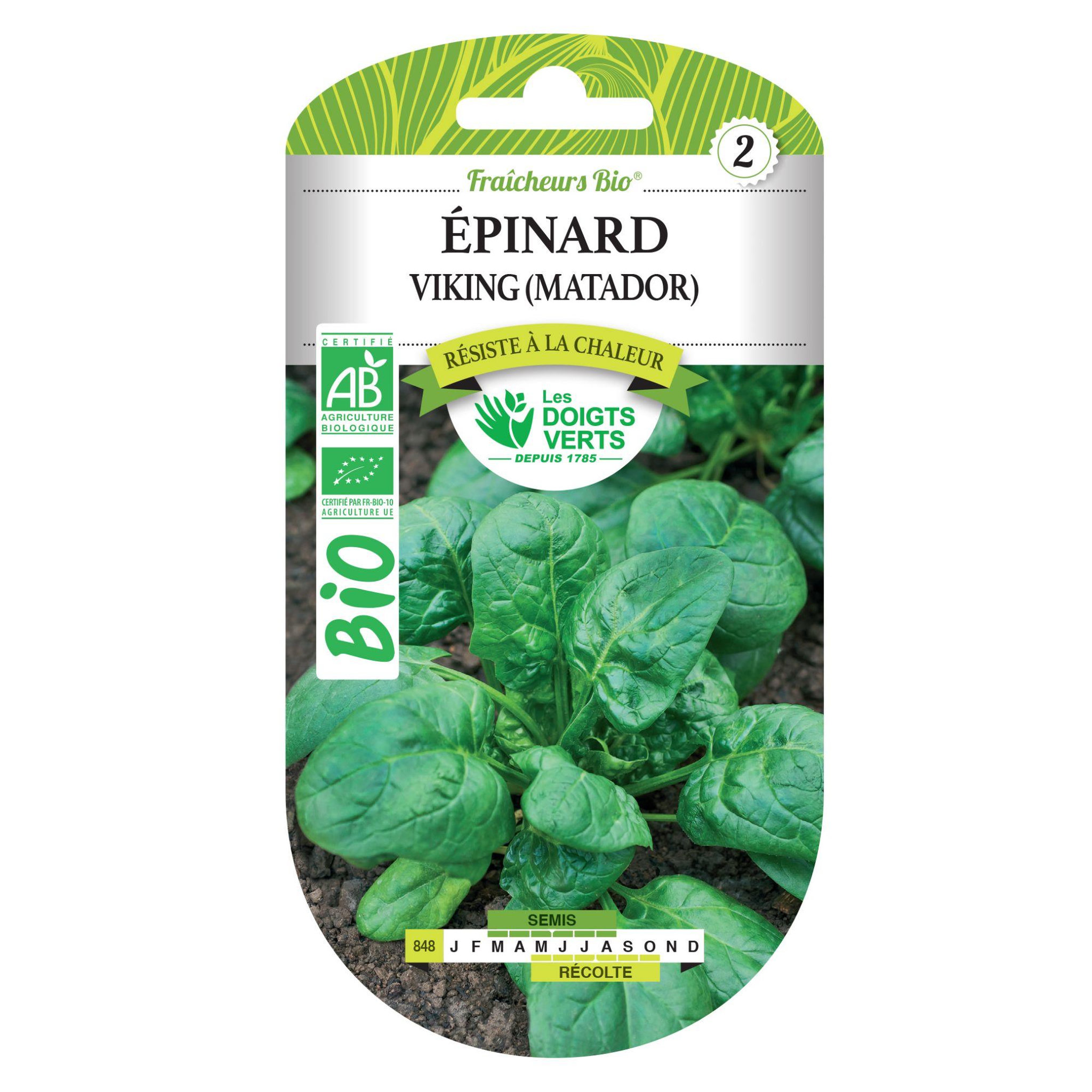 LES DOIGTS VERTS Graines épinard Viking  matador  BIO Les Doigts Verts