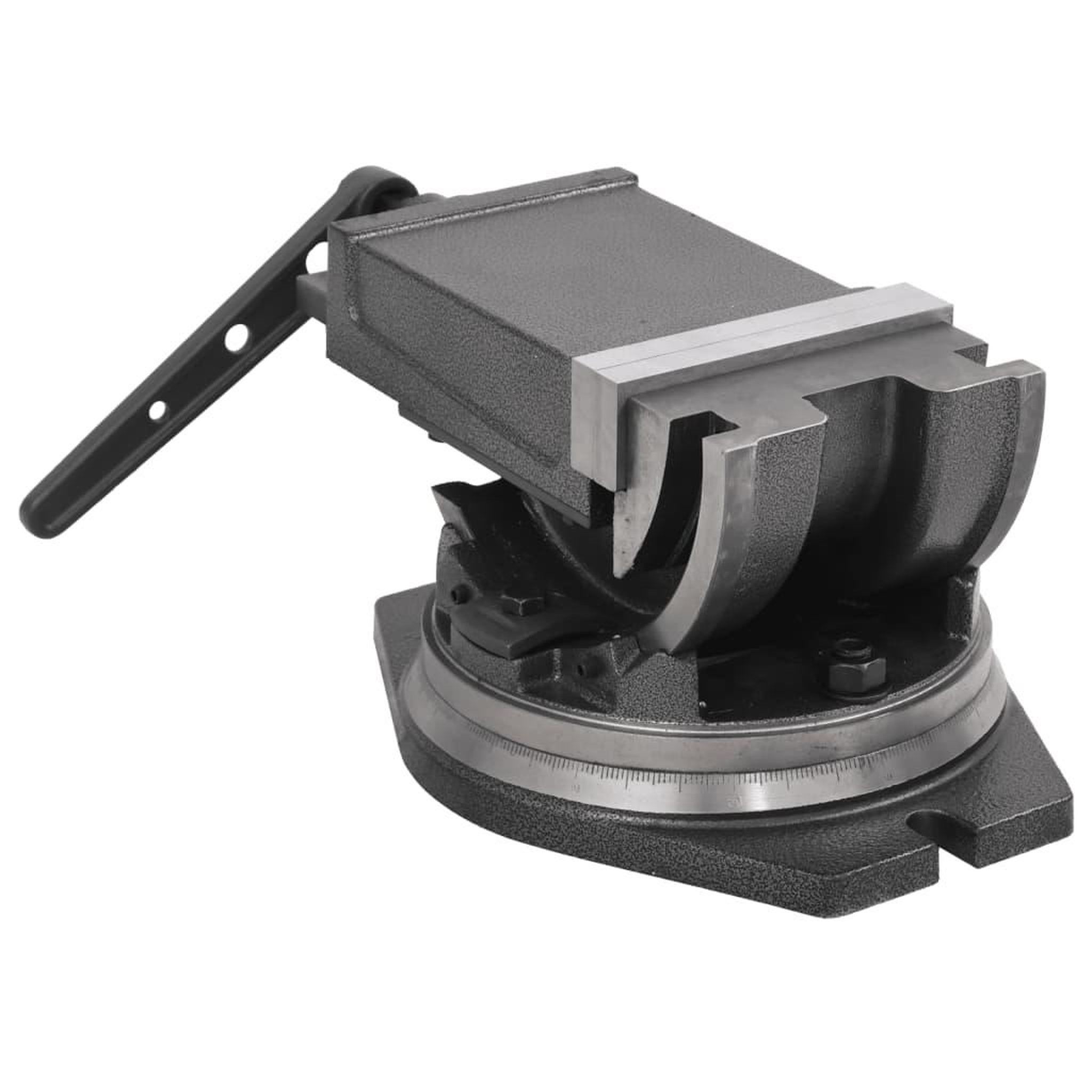 Voir la diapositive 5 : VIDAXL Etau inclinable a 2 axes 160 mm