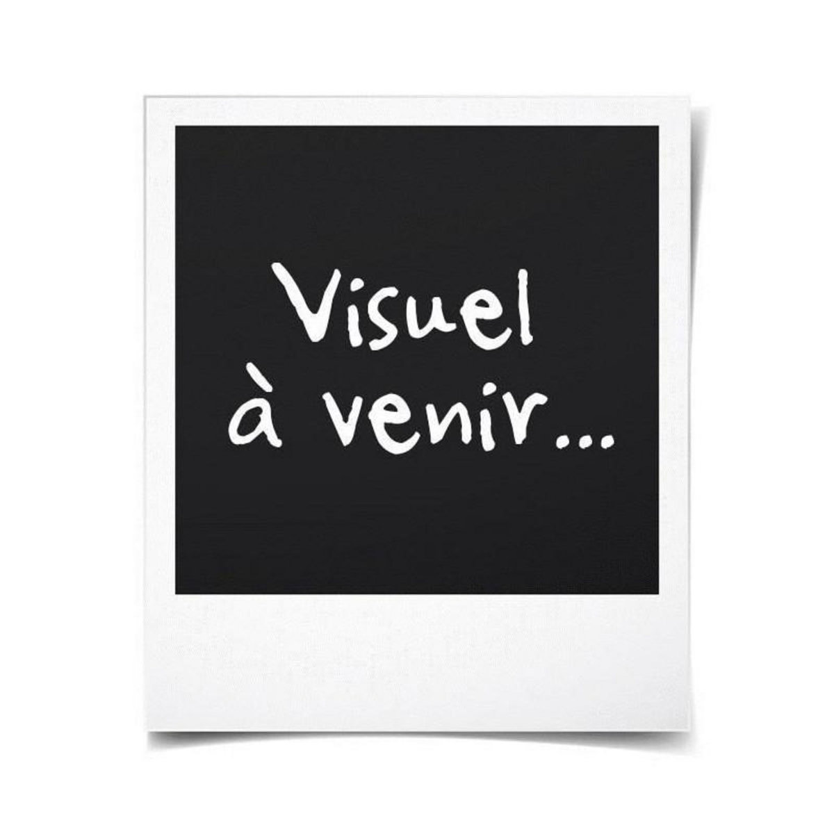 STRADOUR Evier en inox - Satiné - a encastrer - STRADOUR - 1 cuve 1 égouttoir 860x500