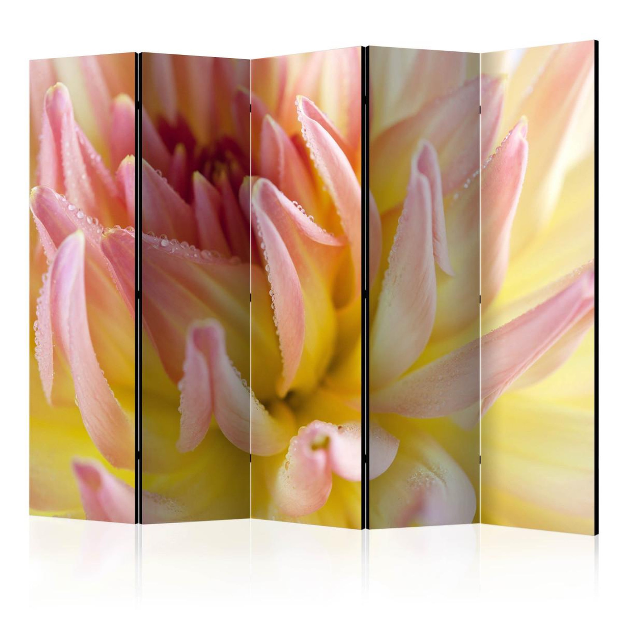 Paris Prix Paravent 5 volets  pastel colored dahlia flower with dew drops  172x225cm