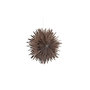 Voir la diapositive 4 : Paris Prix Lampe Suspension Design  Selen  46cm Marron