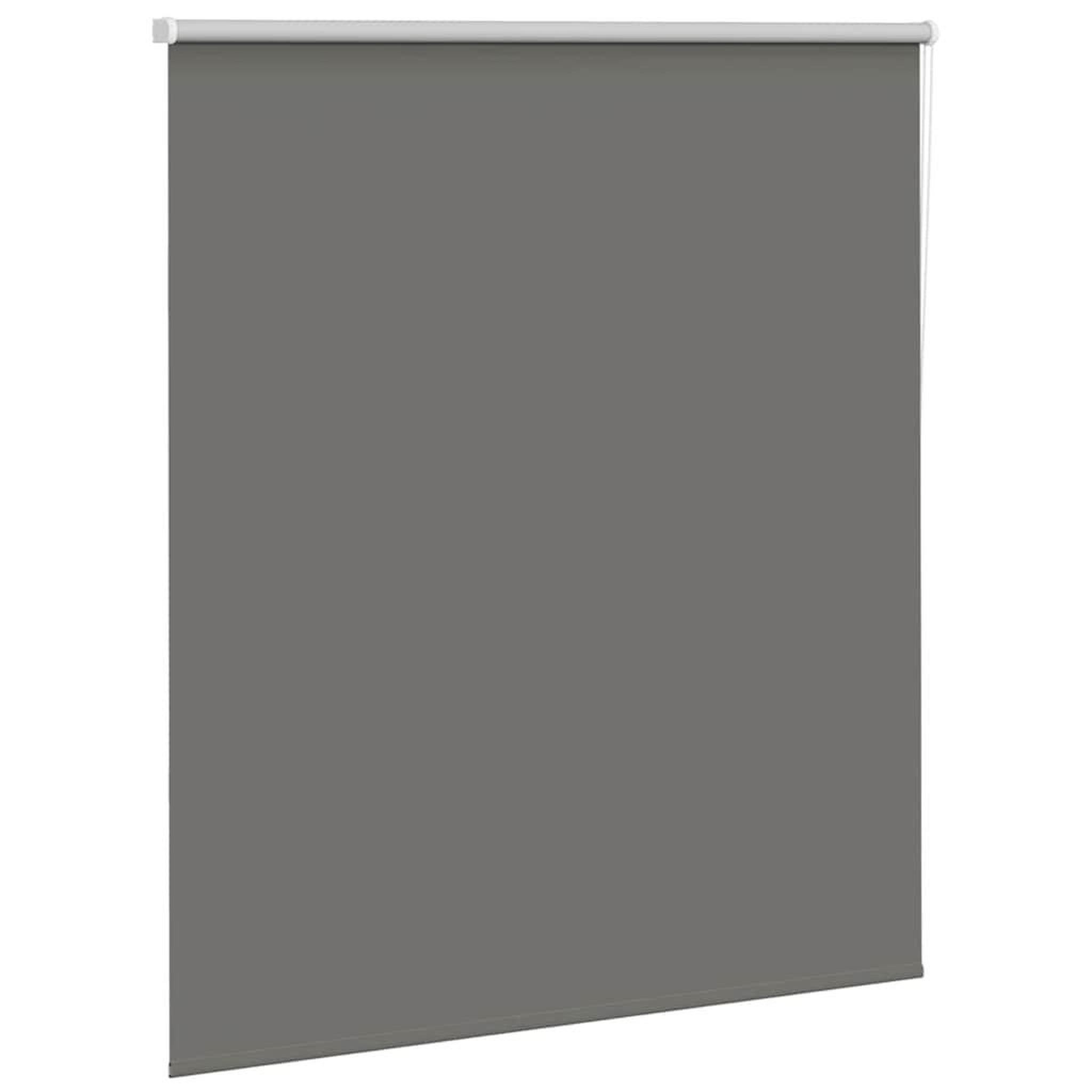 Voir la diapositive 3 : VIDAXL Store enrouleur occultant largeur du tissu 121,6 cm polyester