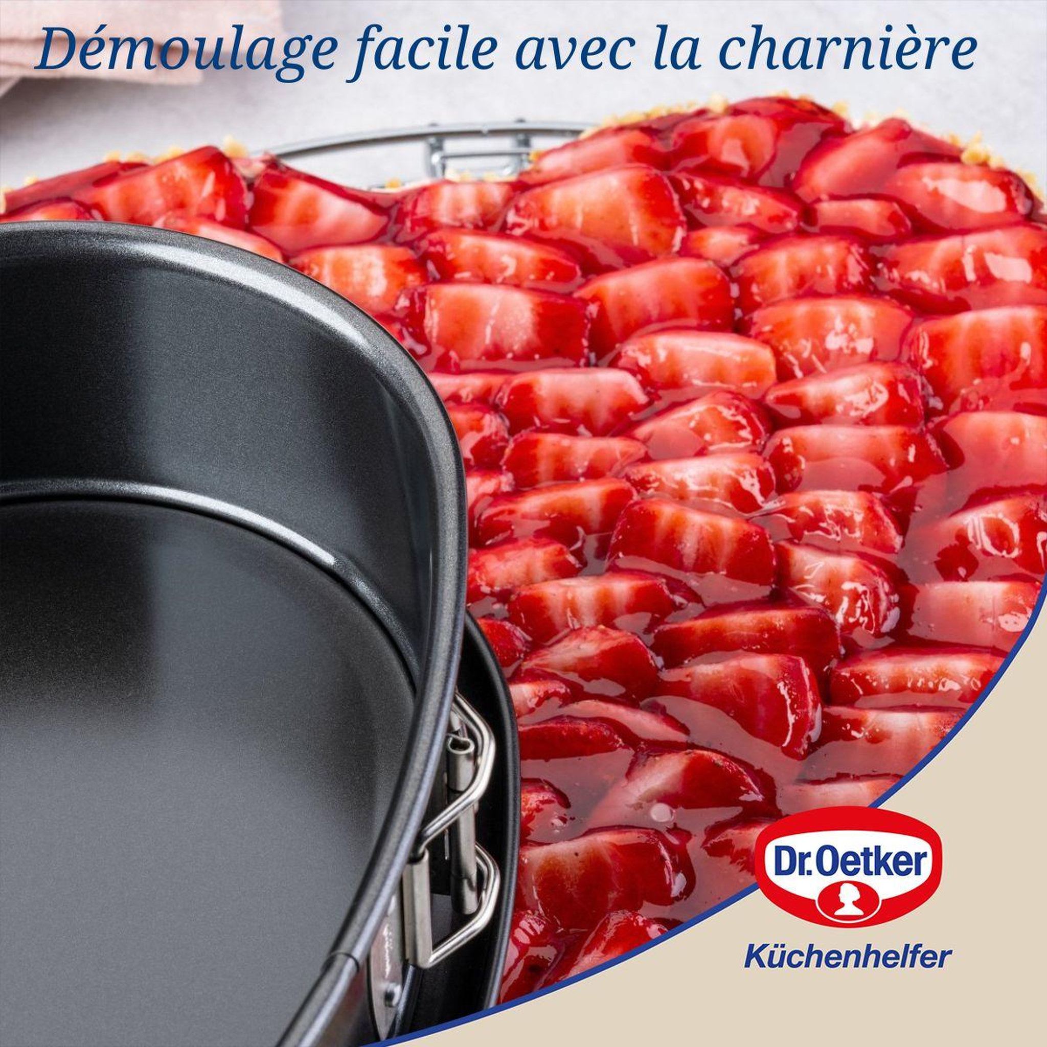 Voir la diapositive 4 : DR.OETKER Lot de 2 moules à charnière 25/27 cm en acier dr oetker tradition