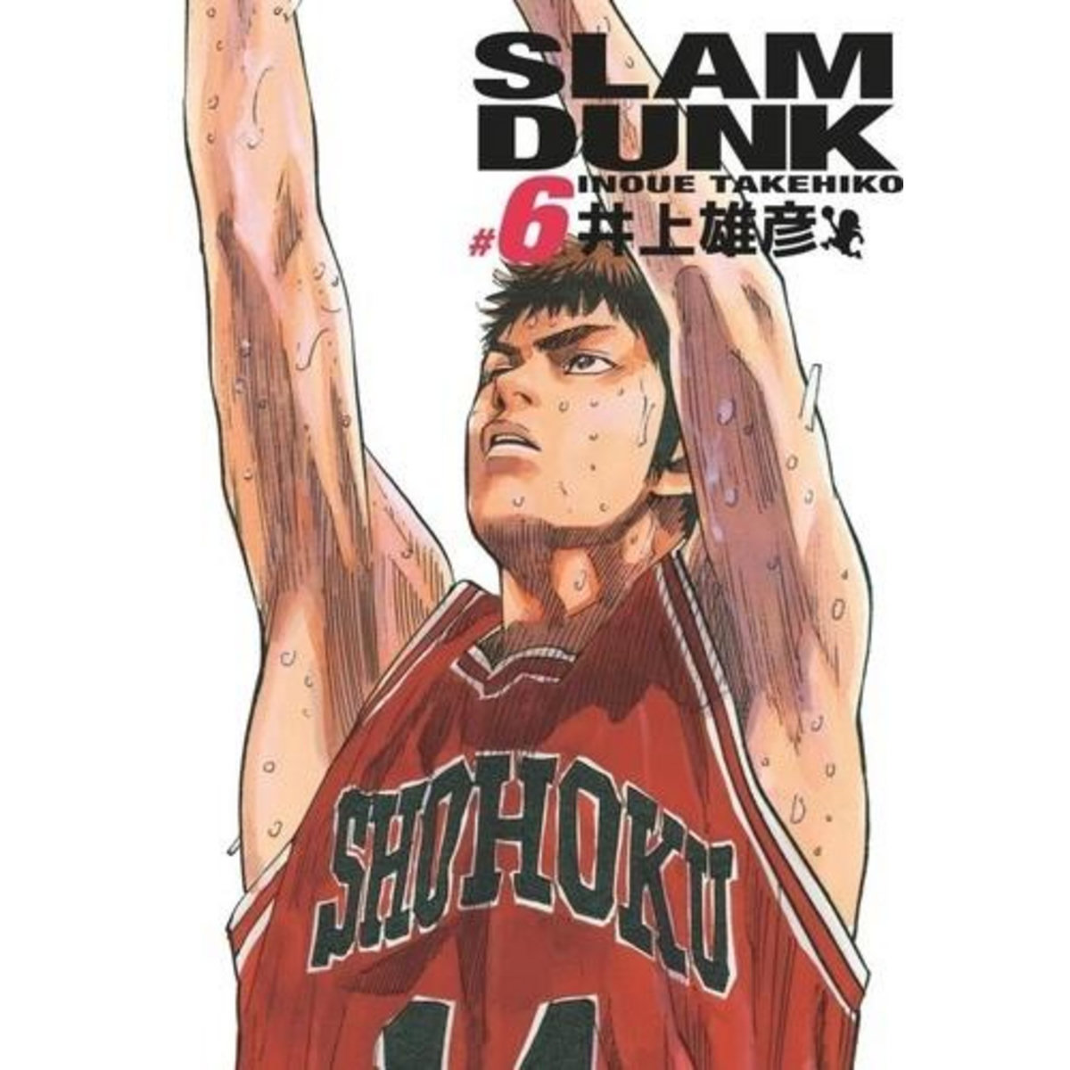 SLAM DUNK TOME 6 . EDITION DE LUXE, Inoué Takehiko