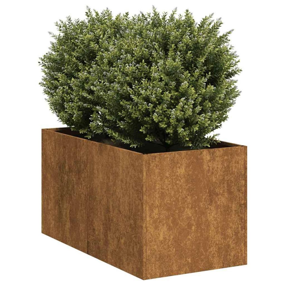 VIDAXL Jardiniere rouille 40x80x40 cm acier inoxydable