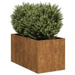 VIDAXL Jardiniere rouille 40x80x40 cm acier inoxydable
