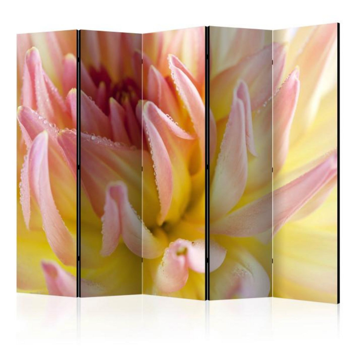 Paris Prix Paravent 5 Volets  Pastel Colored Dahlia Flower with Dew Drops  172x225cm