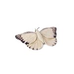 WWF Pecluche Papillon blanc 20cm