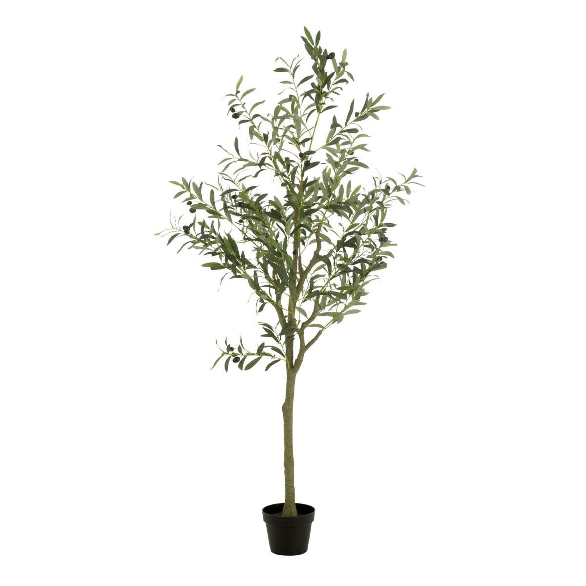 J-LINE Plante artificielle en pot  olivier  180cm vert