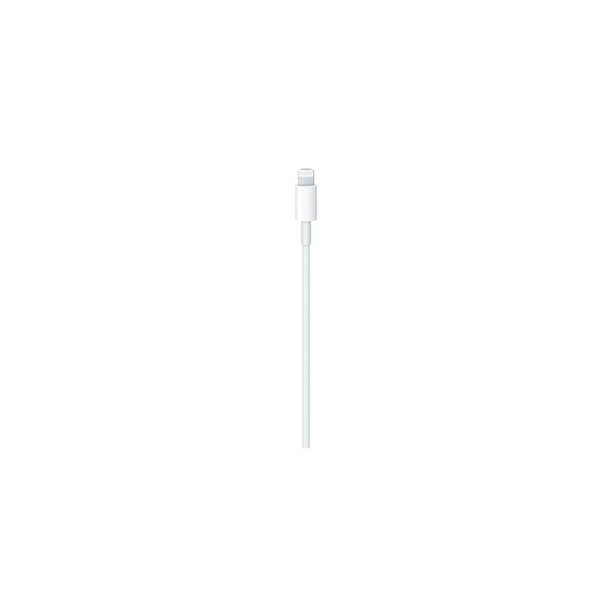 APPLE Câble Lightning USB-C vers lightning 1m
