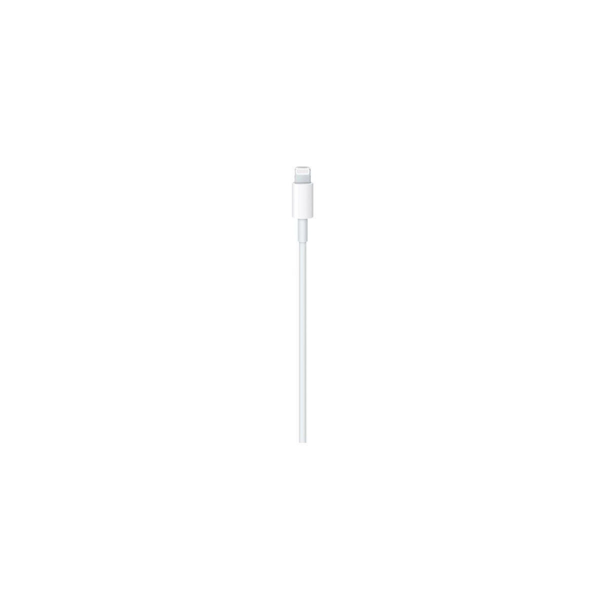 APPLE Câble Lightning USB-C vers lightning 1m