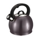 BERLINGER HAUS Bouilloire Berlinger-Haus moderne 3 litres