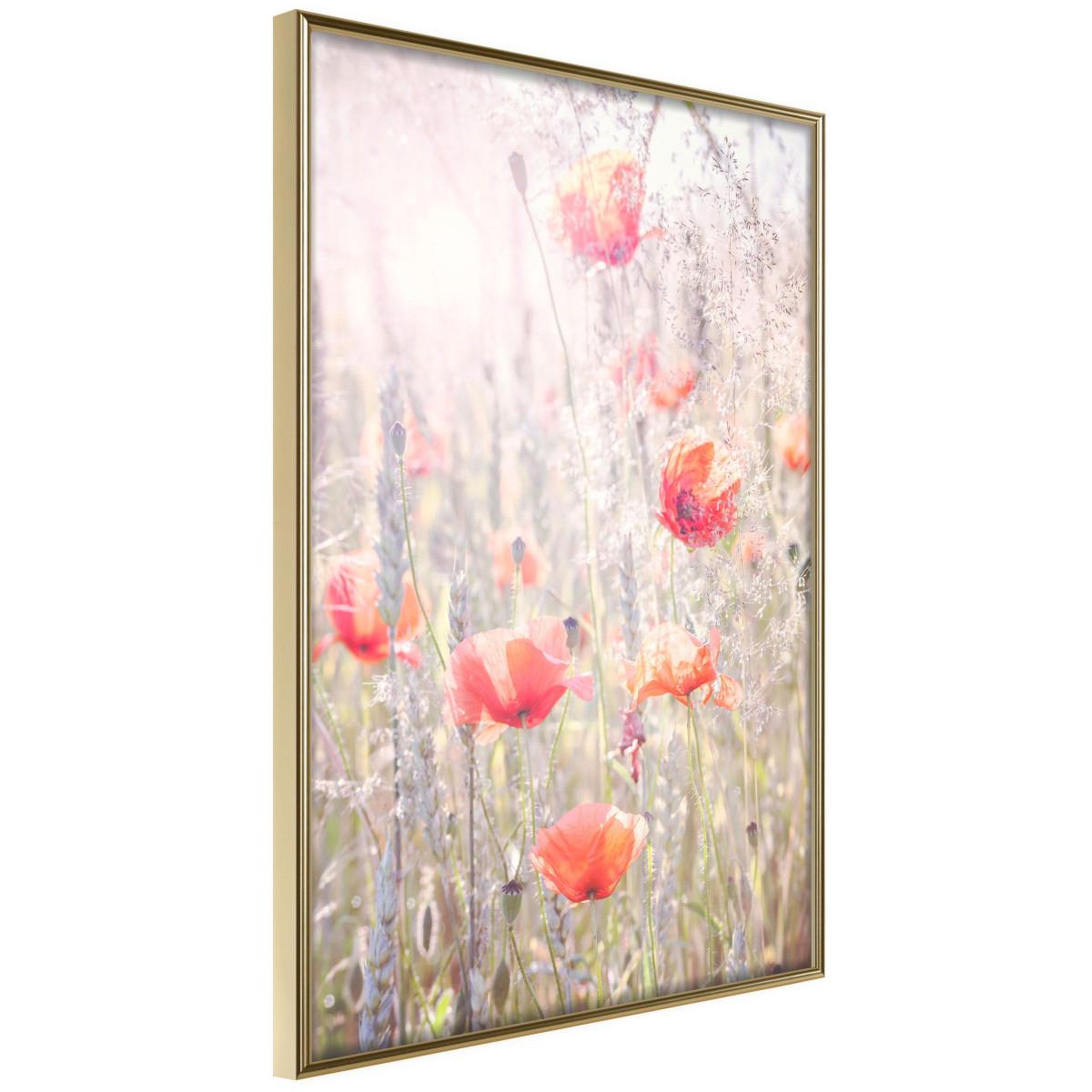 Paris Prix Affiche Murale Encadrée  Poppies
