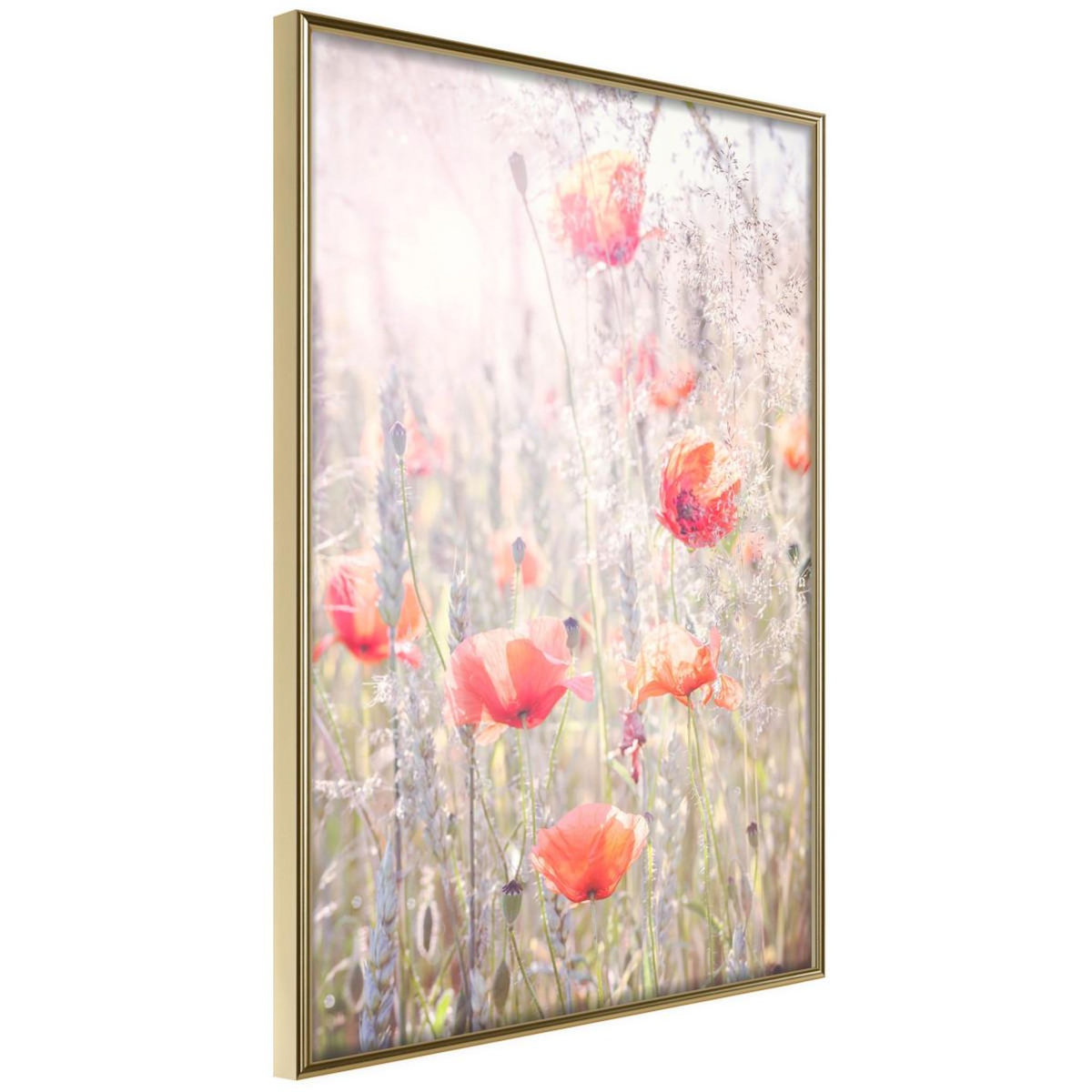 Paris Prix Affiche Murale Encadrée  Poppies