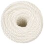 Voir la diapositive 3 : VIDAXL Corde de travail Blanc 10 mm 50 m polypropylene