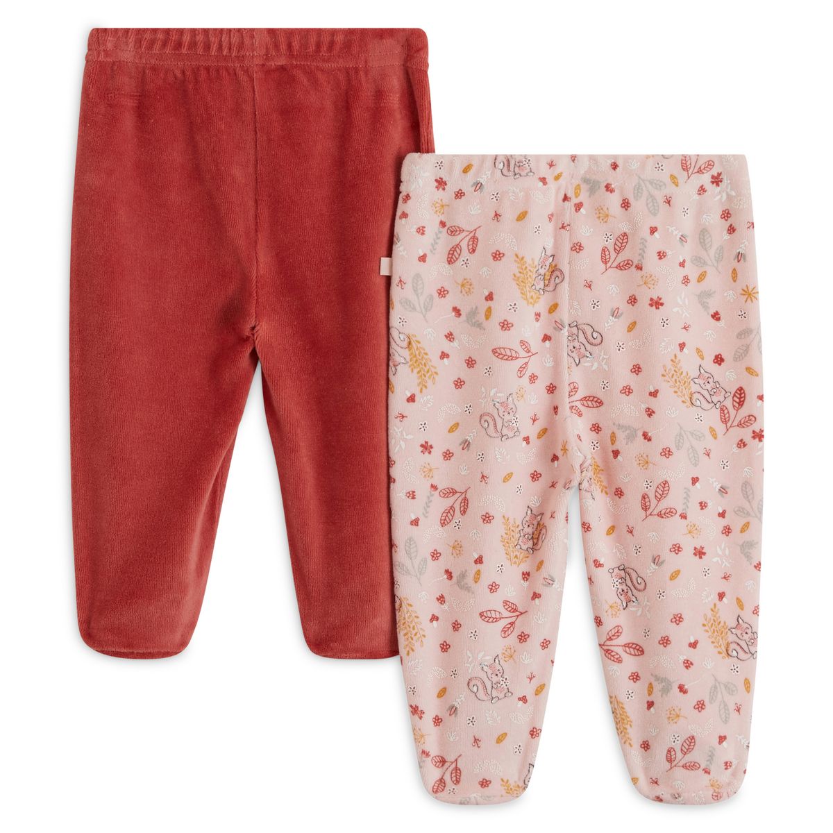 IN EXTENSO Lot de 2 pantalons velours de naissance écureuils bébé fille