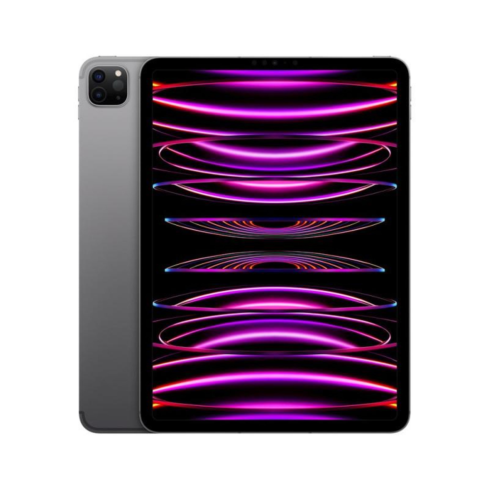 APPLE Apple iPad Pro 11 Puce Apple M2 2To Gris Sidéral Wifi Cellular Fin 2022
