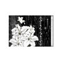 Voir la diapositive 2 : Paris Prix Papier Peint  Crying Lilies