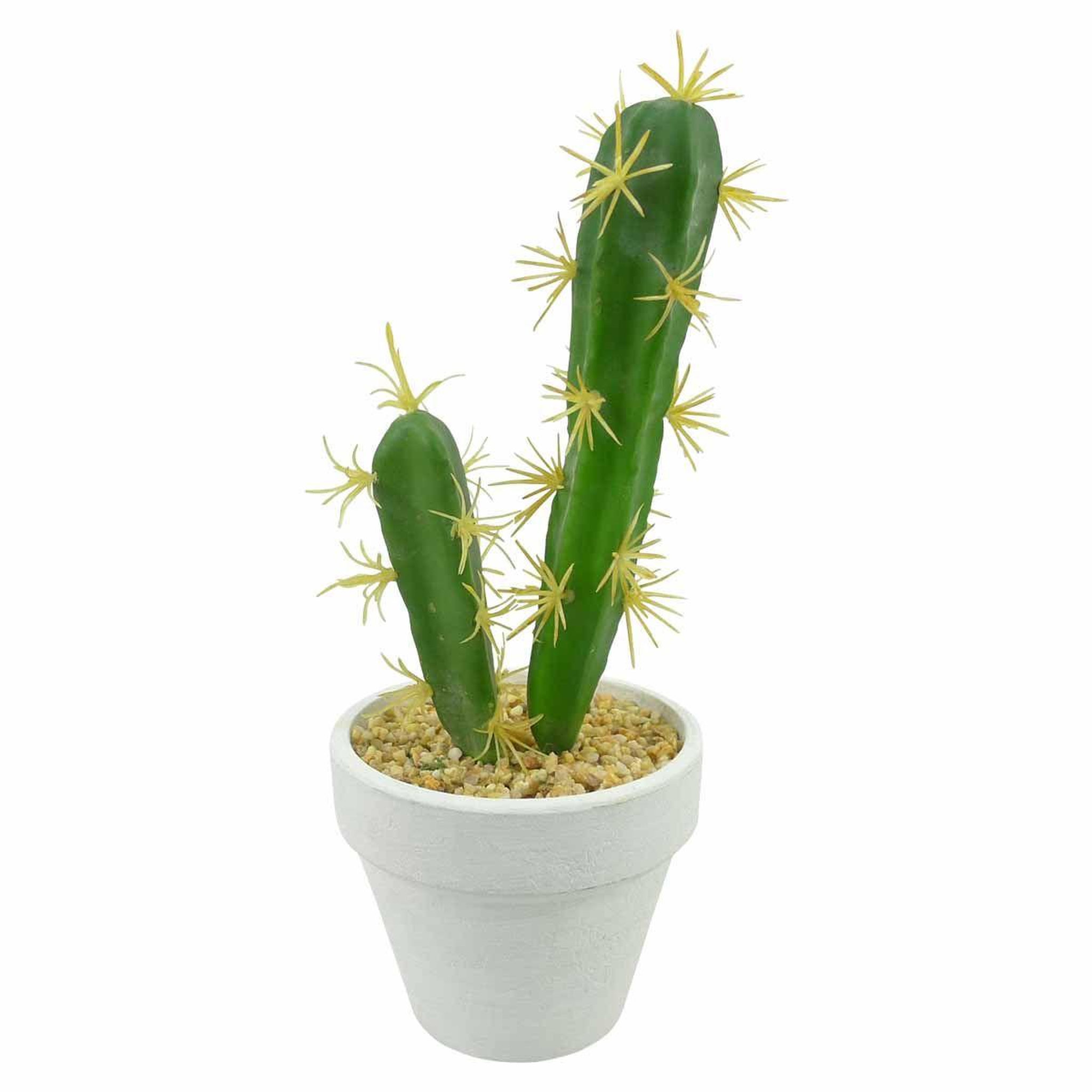HOMEA Plante artificielle en pot 2 tiges  cactus  23cm blanc