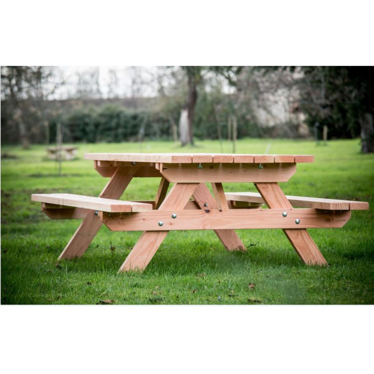 Hisense Table forestière en douglas 6 personnes - sj - tfd7