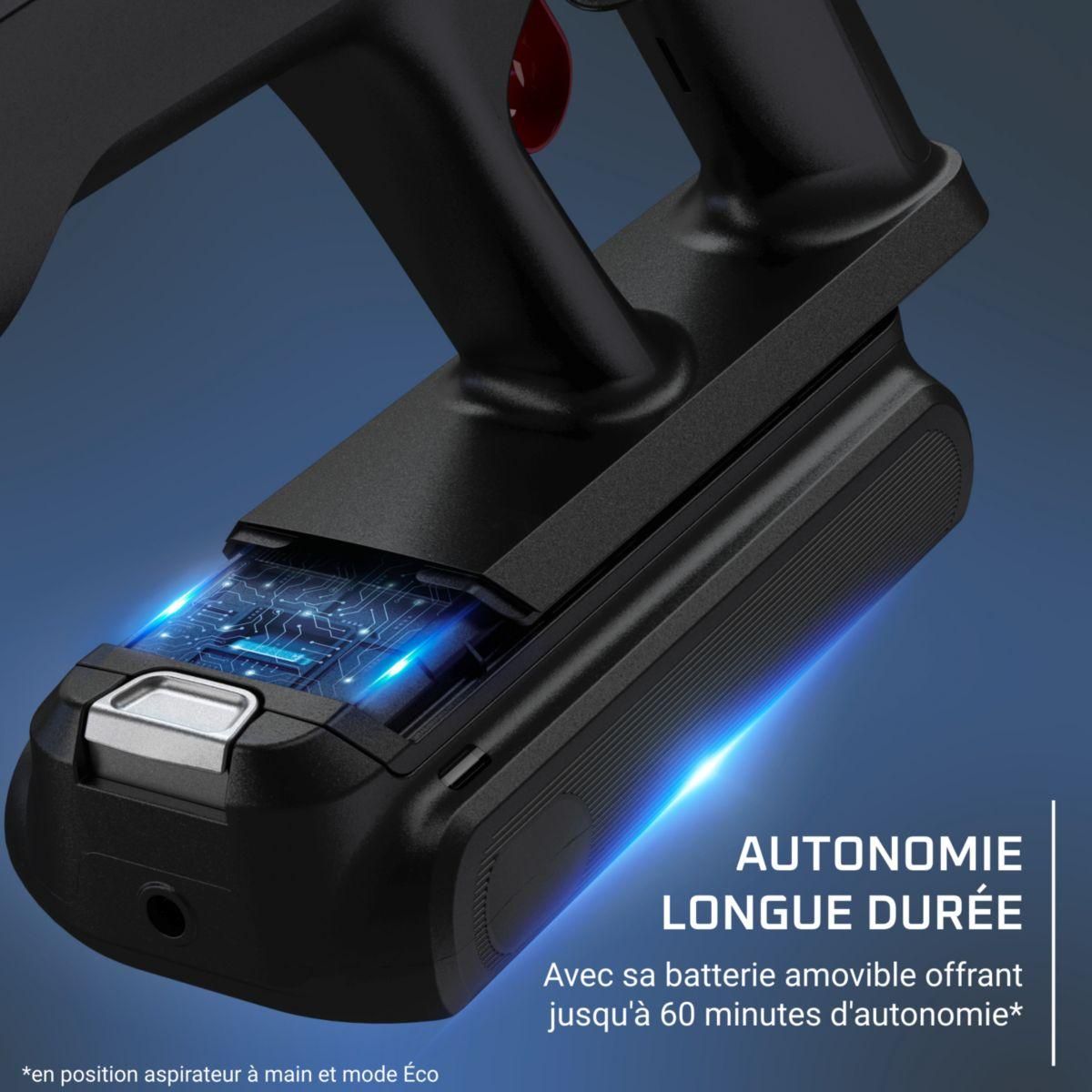 ROWENTA Aspirateur balai X Force Flex 13.60 animal RH9A73WO