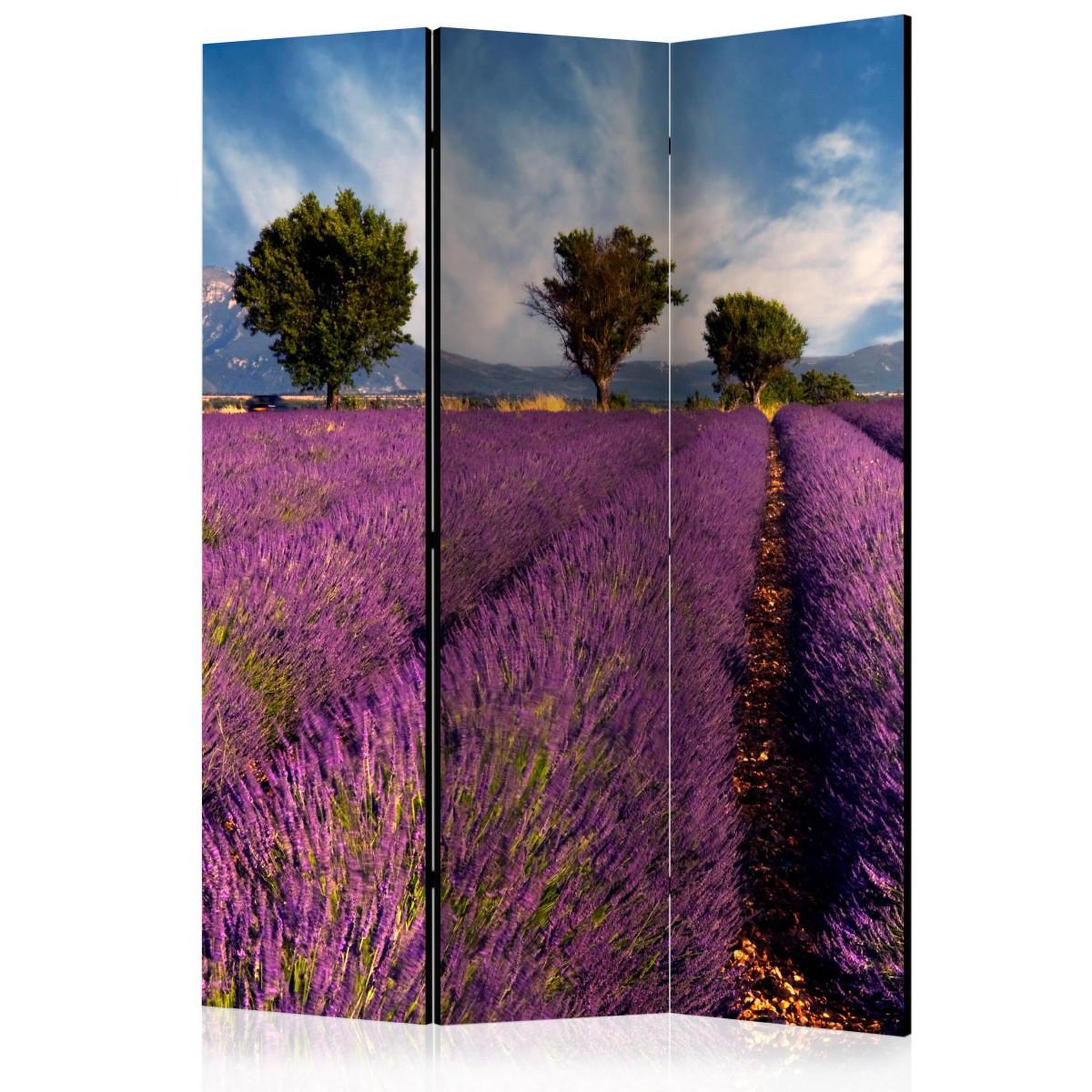 Paris Prix Paravent 3 volets  lavender field in provence, france  135x172cm