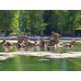 Voir la diapositive 2 : Smartbox Visite guidée du château de Versailles et du domaine de Marie-Antoinette - Coffret Cadeau Sport & Aventure